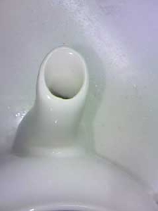 急須の茶渋落とし後