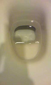 便器水たまり